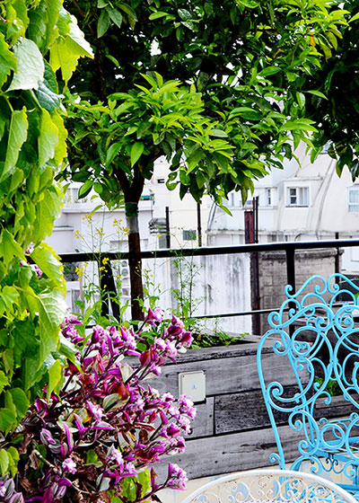 Recoleta rental apartments Poetry Building Ellies Garden Purple plant Boston ivy tree greenery Blue Iron Chair